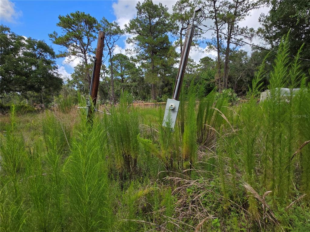 Two utility poles with an electrical meter box stand in a grassy, wooded lot — 4863 MEADOW GREEN ROAD, MIMS, FL