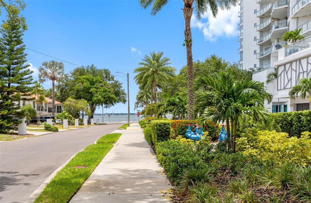 A paved sidewalk leads toward a waterfront view, flanked by palm trees and landscaping — 3420 S CARTER STREET UNIT C, TAMPA, FL