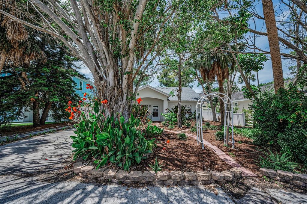 A house exterior features a large tree, a garden bed with red flowers, and an archway — 720 BRUCE AVENUE, CLEARWATER BEACH, FL