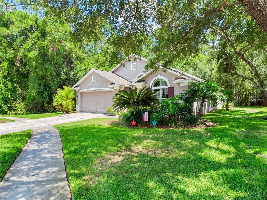 A single-story house with a two-car garage, arched window, and lush landscaping under large trees — 12502 BLAZING STAR DRIVE, TAMPA, FL