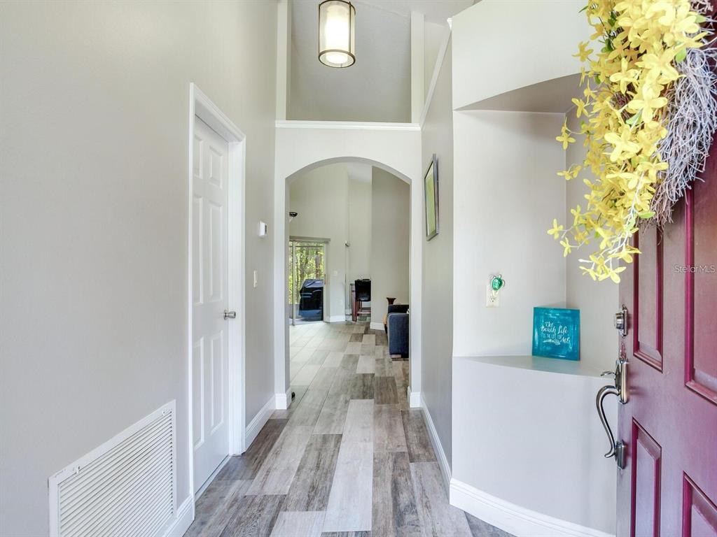 An entryway features light gray walls, wood-look plank flooring, and an arched doorway — 12502 BLAZING STAR DRIVE, TAMPA, FL