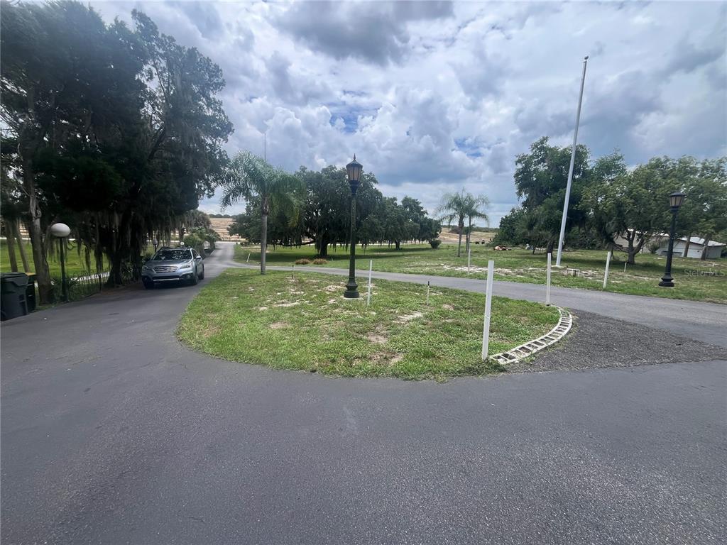 A paved driveway splits around a grassy island with a lamp post and palm trees — 1145 S LAKE REEDY BOULEVARD, FROSTPROOF, FL