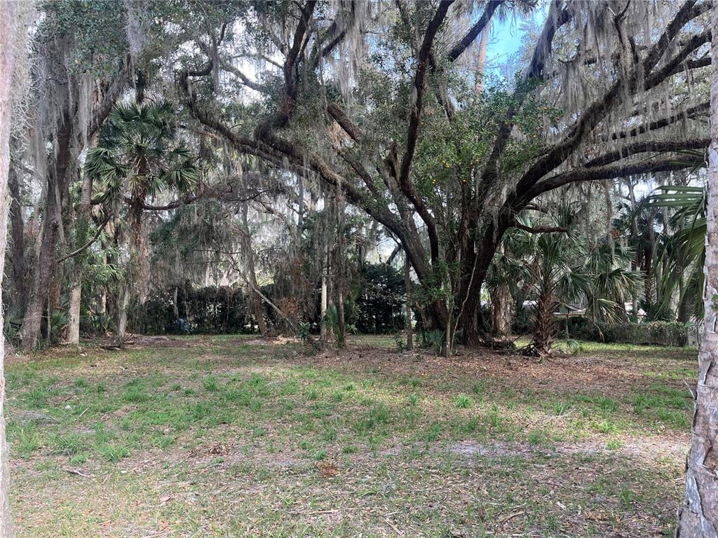 183RD AVENUE