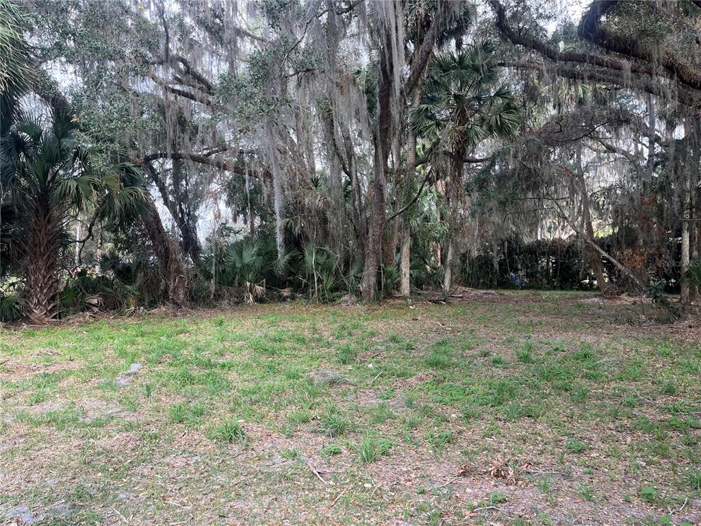 A grassy, partially cleared lot is surrounded by mature trees with hanging Spanish moss — 183RD AVENUE, HAWTHORNE, FL