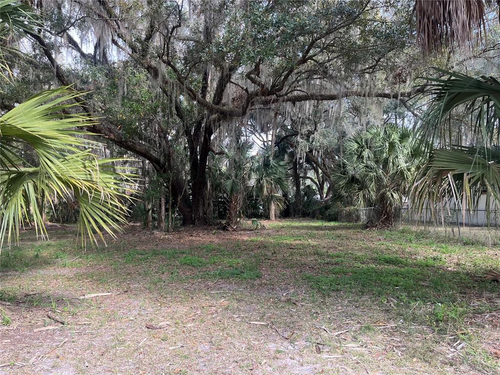 A wooded, grassy lot features large oak trees with Spanish moss and several palm trees — 183RD AVENUE, HAWTHORNE, FL