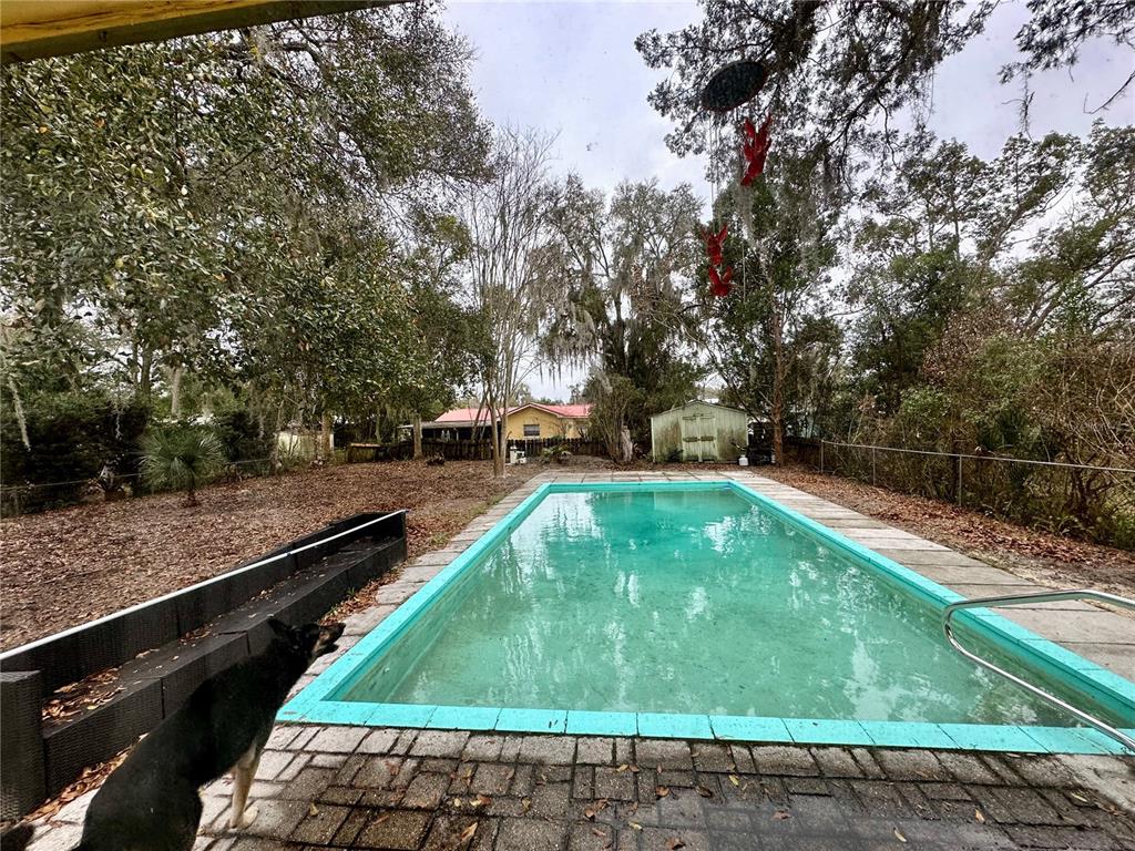 A rectangular swimming pool with a turquoise border sits in a backyard with mature trees — 424 W HOGLE AVENUE, DELAND, FL