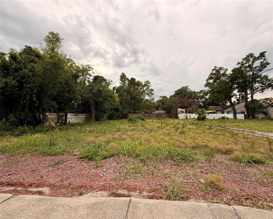 A vacant, grassy residential lot is bordered by trees and a white fence — 3208 N TAMPA STREET, TAMPA, FL