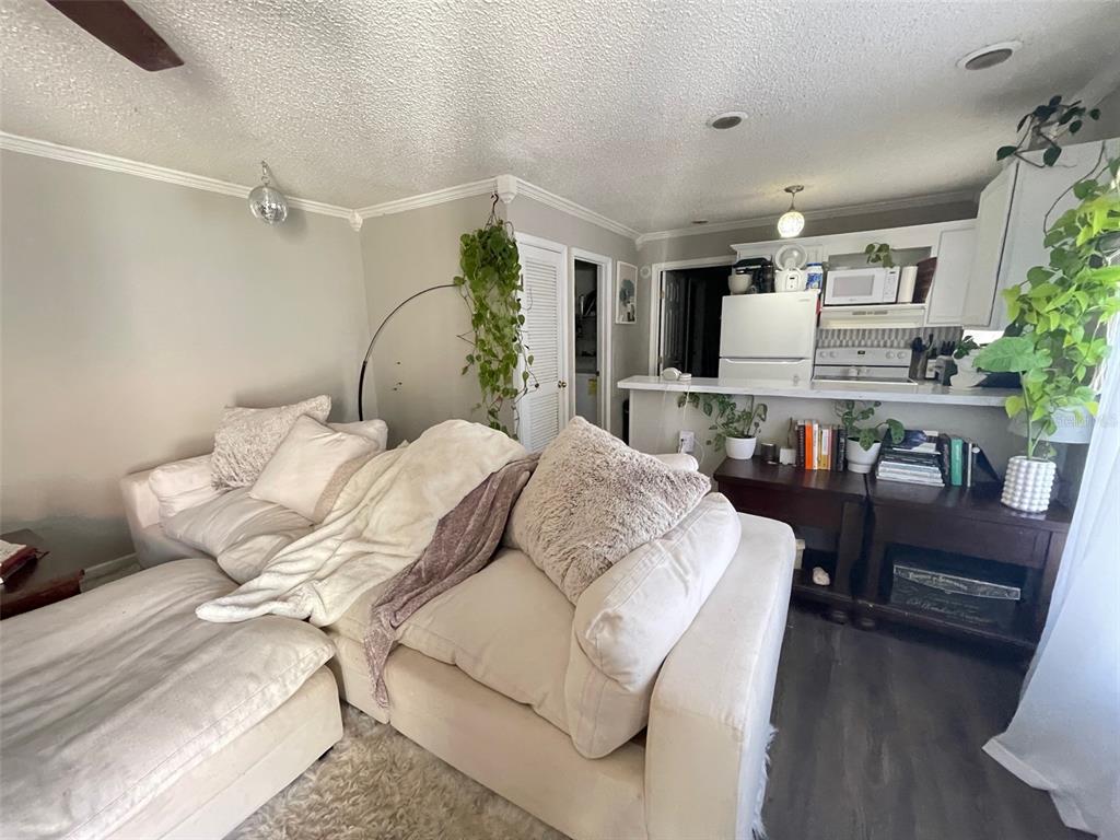 An empty bedroom features gray walls, wood-look flooring, a ceiling fan, and a single window — 2905 SW ARCHER ROAD UNIT S4022, GAINESVILLE, FL