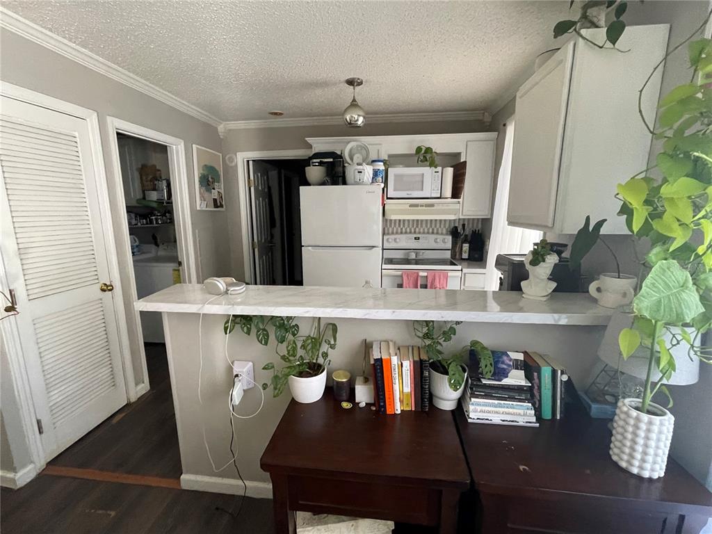 An empty room features light gray walls, wood-look flooring, a ceiling fan, and a doorway — 2905 SW ARCHER ROAD UNIT S4022, GAINESVILLE, FL