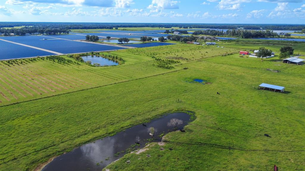 An aerial view shows a large rural property with pastures, several ponds, and farm buildings — BLANTON ACRES ROAD, PLANT CITY, FL