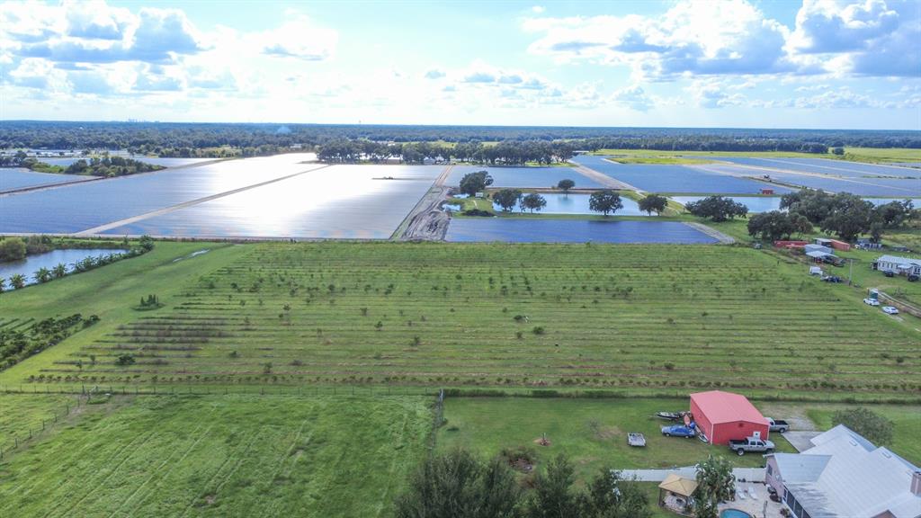 An aerial view shows a rural property with a house, barn, orchard, and large ponds — BLANTON ACRES ROAD, PLANT CITY, FL
