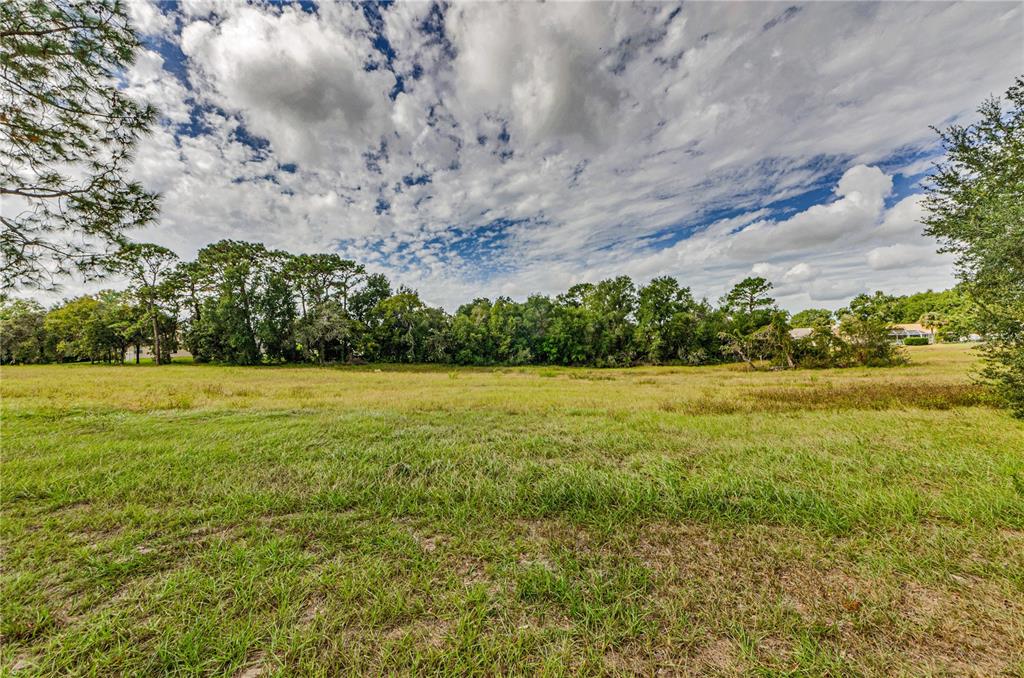 10443 CASA GRANDE CIRCLE, SPRING HILL, FL — photo 4 of 30