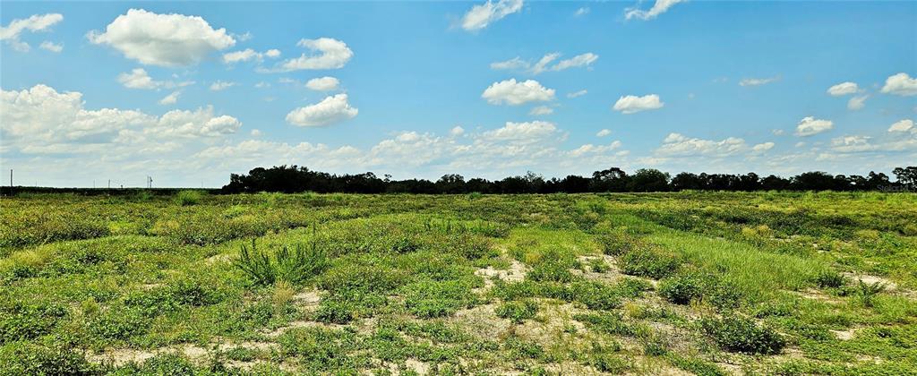 A wide, flat, grassy field under a bright blue sky with scattered white clouds — MAMMOTH GROVE ROAD, LAKE WALES, FL