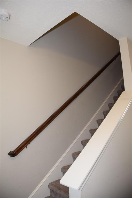 A carpeted staircase features a wooden handrail mounted to a plain beige wall — 7043 SUMMER HOLLY PLACE, RIVERVIEW, FL