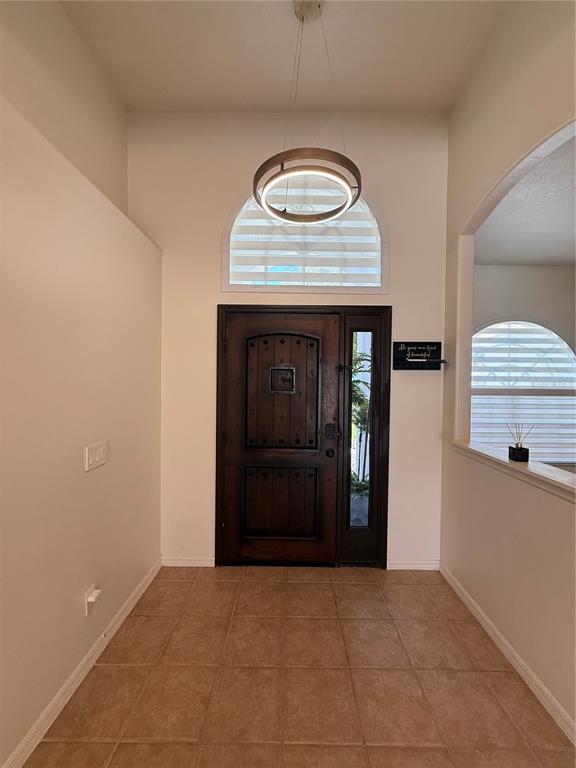 An entryway features a dark wooden door, tiled flooring, and a modern circular pendant light — 2210 TOWERING OAKS CIRCLE, SEFFNER, FL