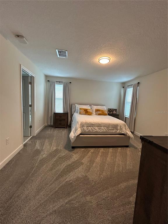 A bedroom features a bed with neutral bedding, gray carpeting, and two windows with curtains — 11831 CHARADES STREET, ORLANDO, FL