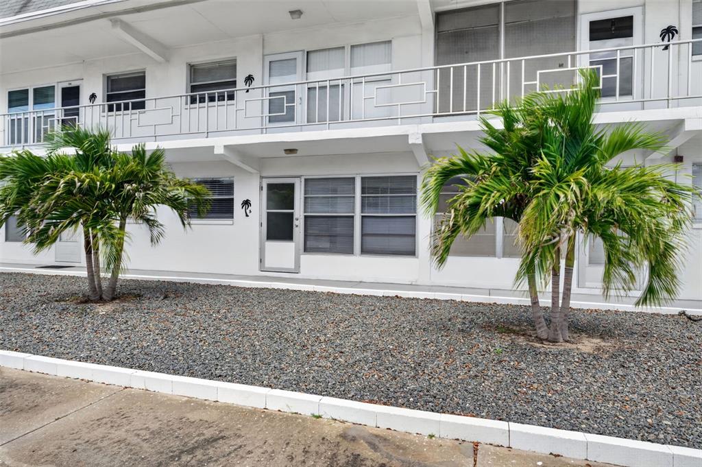 The exterior of a two-story white apartment building features palm trees and gravel landscaping — 1221 DREW STREET UNIT A5, CLEARWATER, FL