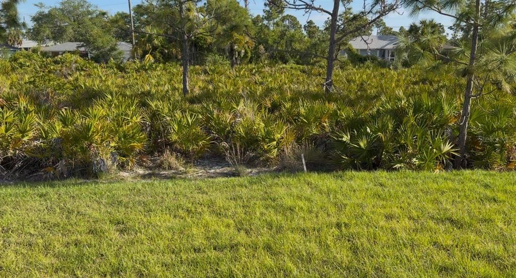 A grassy foreground leads to a dense, undeveloped lot filled with saw palmetto bushes and trees — 12152 DUBARRY AVENUE, PORT CHARLOTTE, FL