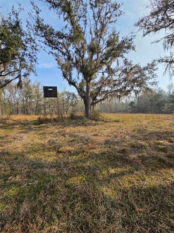 1106 FOX HUNTER RD, PERRY, FL — photo 4 of 23