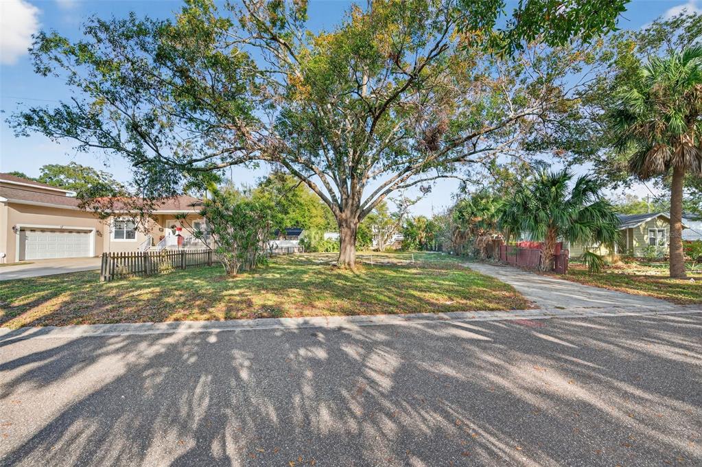 A large tree stands in the center of a vacant grassy lot between two houses — 6311 HOBSON STREET NE, ST PETERSBURG, FL