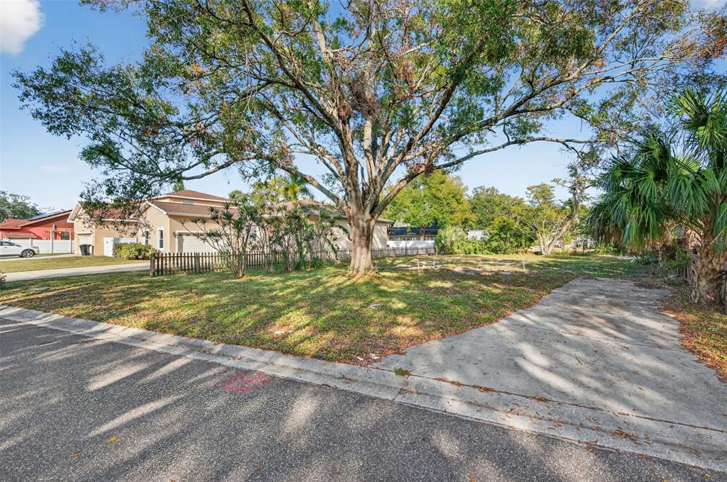 A large tree stands on a grassy vacant lot next to a concrete driveway — 6311 HOBSON STREET NE, ST PETERSBURG, FL