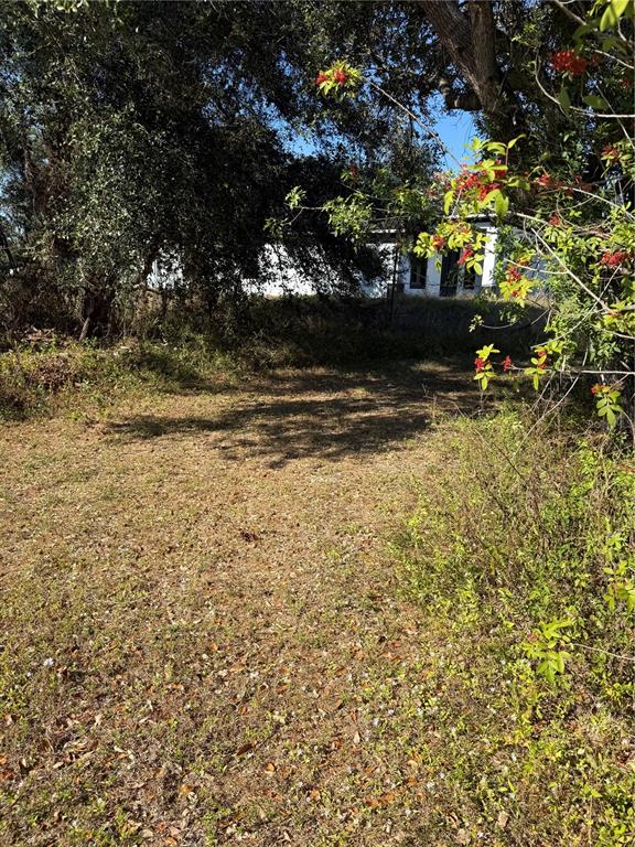 A grassy lot with trees and shrubs leads toward a white building in the distance — 205 GILBERT AVENUE N, LEHIGH ACRES, FL