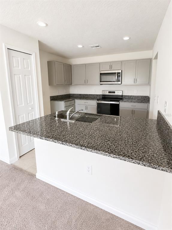 A kitchen features gray cabinets, granite countertops, and stainless steel appliances with a breakfast bar — 417 PATRICIA ALFORD DRIVE, HAINES CITY, FL