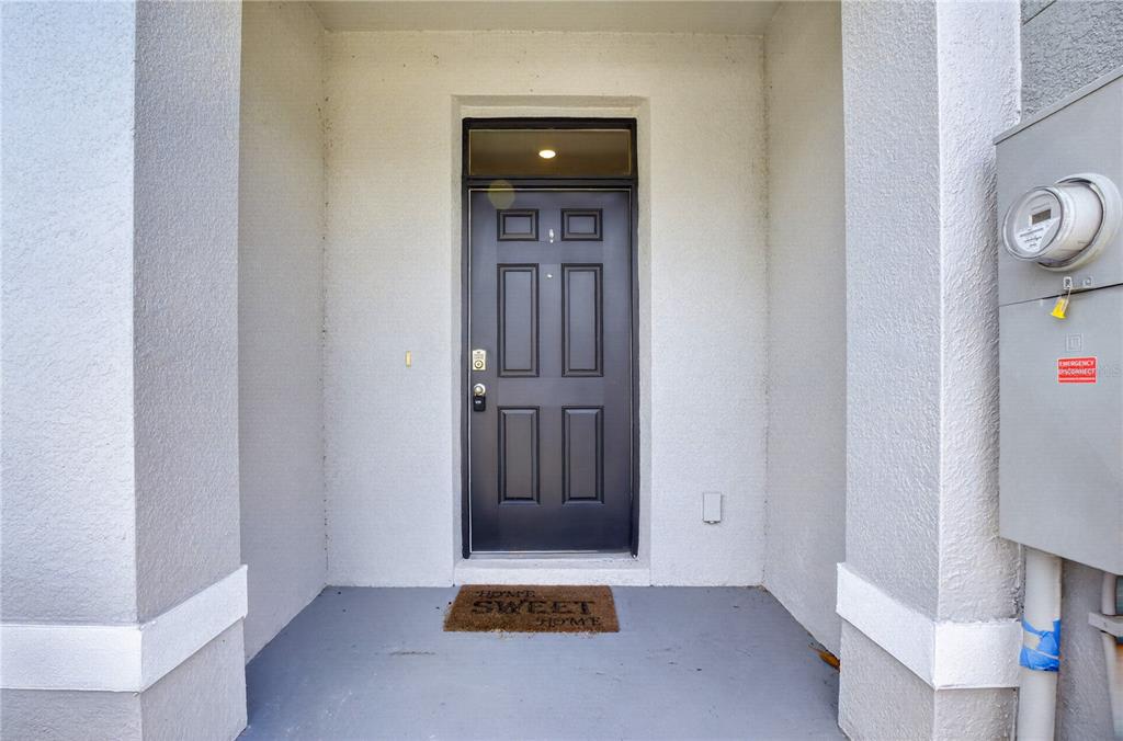 A dark front door with a transom window sits in a covered entryway with concrete flooring — 33028 TULIP PETAL LANE, WESLEY CHAPEL, FL