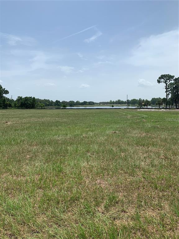 A wide, grassy field stretches toward a distant lake under a bright, partly cloudy sky — 3448 LAKE DIANE ROAD, TAVARES, FL