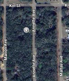 ANNETTE AVENUE, INTERLACHEN, FL — photo 2 of 5