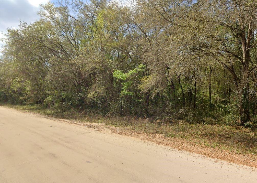 ANNETTE AVENUE, INTERLACHEN, FL — photo 4 of 5