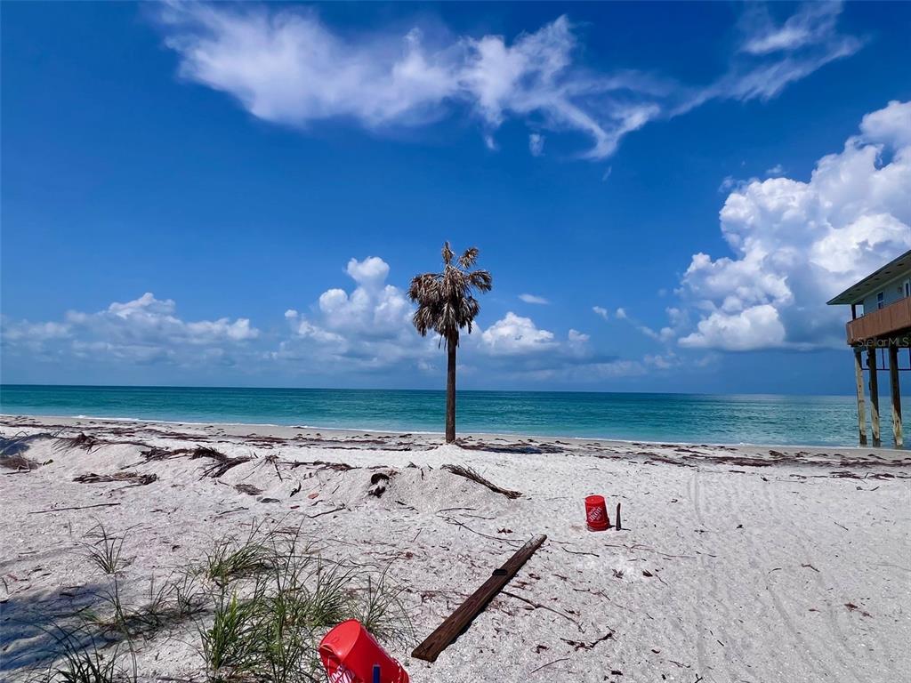 A lone palm tree stands on a sandy beach with a house on stilts nearby — 8438 LITTLE GASPARILLA ISLAND, PLACIDA, FL