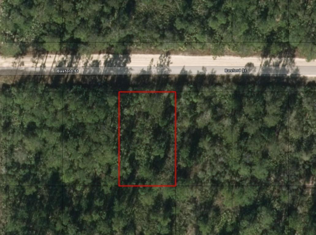 An aerial map view shows a rectangular plot of land bordered by a dirt road — 0 W Basford Street, FL 32148, FL
