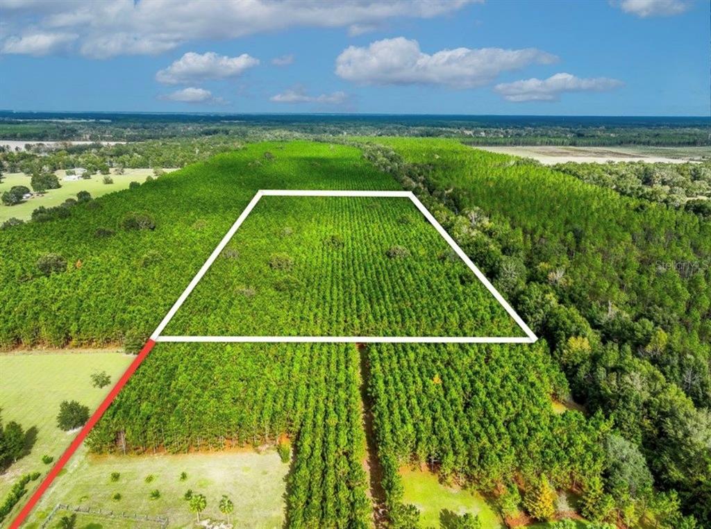An aerial view shows a rectangular plot of land outlined in white within a forest — 000 NW 78TH AVENUE, NEWBERRY, FL