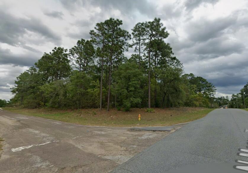 A vacant, wooded corner lot features a yellow fire hydrant near the intersection of two roads — 9239 N Marcus Way, FL 34433, FL