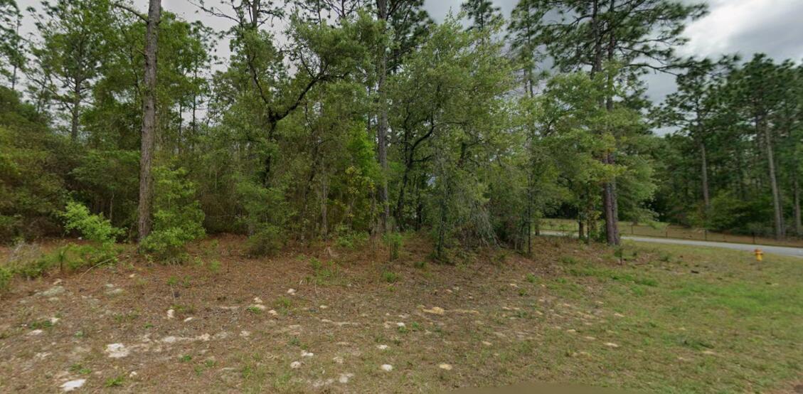 A wooded residential lot features scattered trees, patches of grass, and a fire hydrant — 9239 N Marcus Way, FL 34433, FL