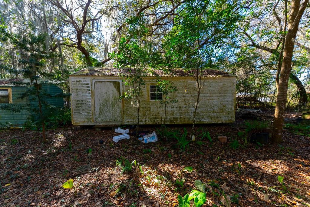 A weathered, light-colored shed sits in a wooded area with a green shed nearby — 24971 NE 135TH STREET, SALT SPRINGS, FL