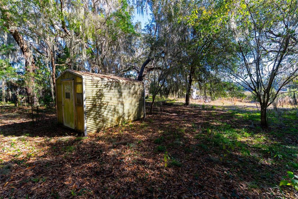 A corrugated metal shed sits in a wooded area covered with fallen leaves — 24971 NE 135TH STREET, SALT SPRINGS, FL