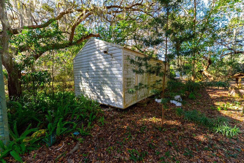 A weathered, light-colored shed sits in a wooded area covered with fallen leaves — 24971 NE 135TH STREET, SALT SPRINGS, FL