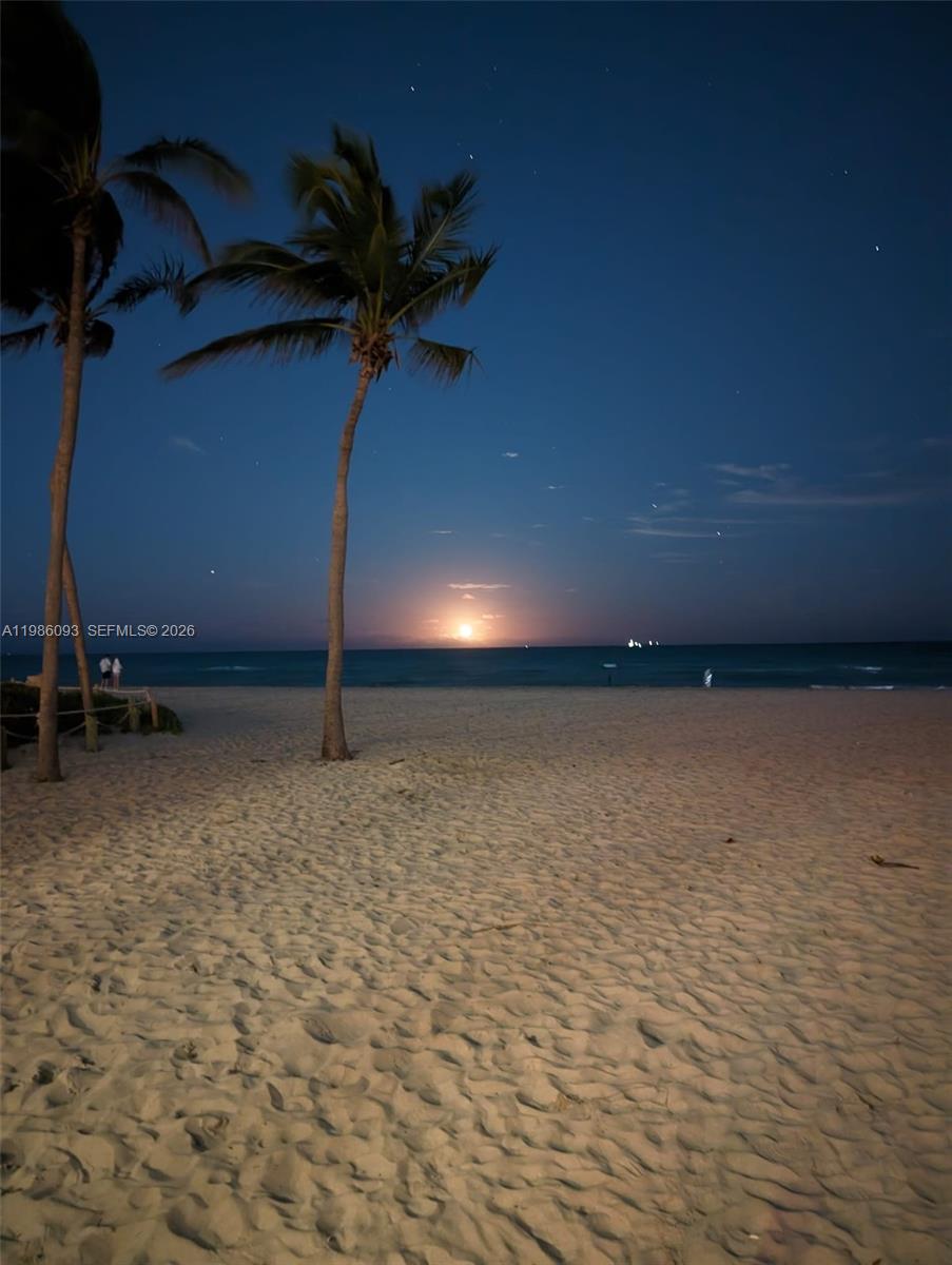 A sandy beach with palm trees at night under a moonlit sky — 1501 S Surf Rd # 21, Hollywood FL 33019, HOLLYWOOD, FL