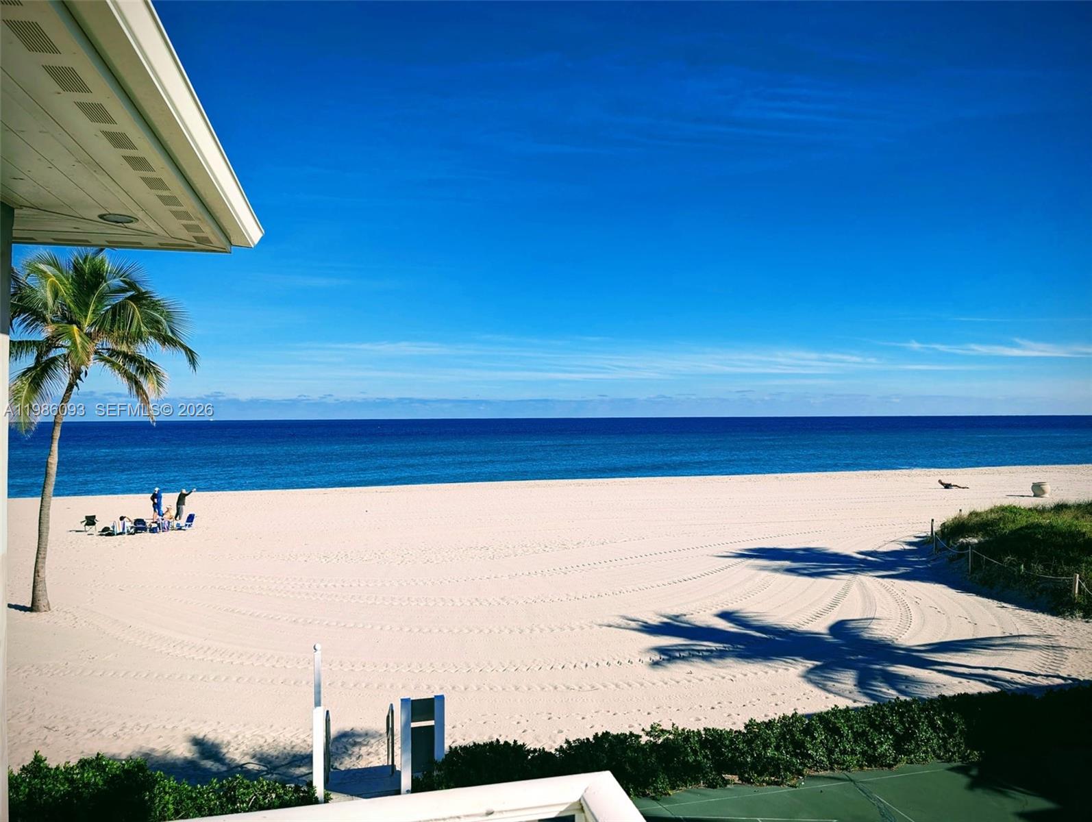 A view of a sandy beach and the ocean from a balcony with a palm tree — 1501 S Surf Rd # 21, Hollywood FL 33019, HOLLYWOOD, FL