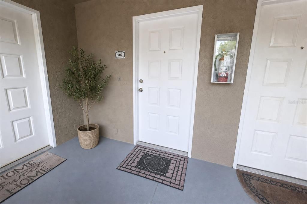 An exterior view shows three white doors with a potted plant and floor mats — 15215 AMBERLY DRIVE UNIT 907, TAMPA, FL