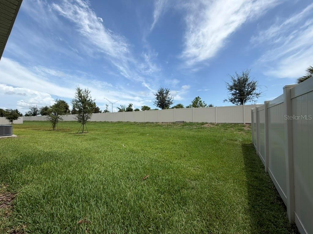 A grassy backyard features a white vinyl privacy fence and several young trees — 17819 CANOPY PLACE, BRADENTON, FL