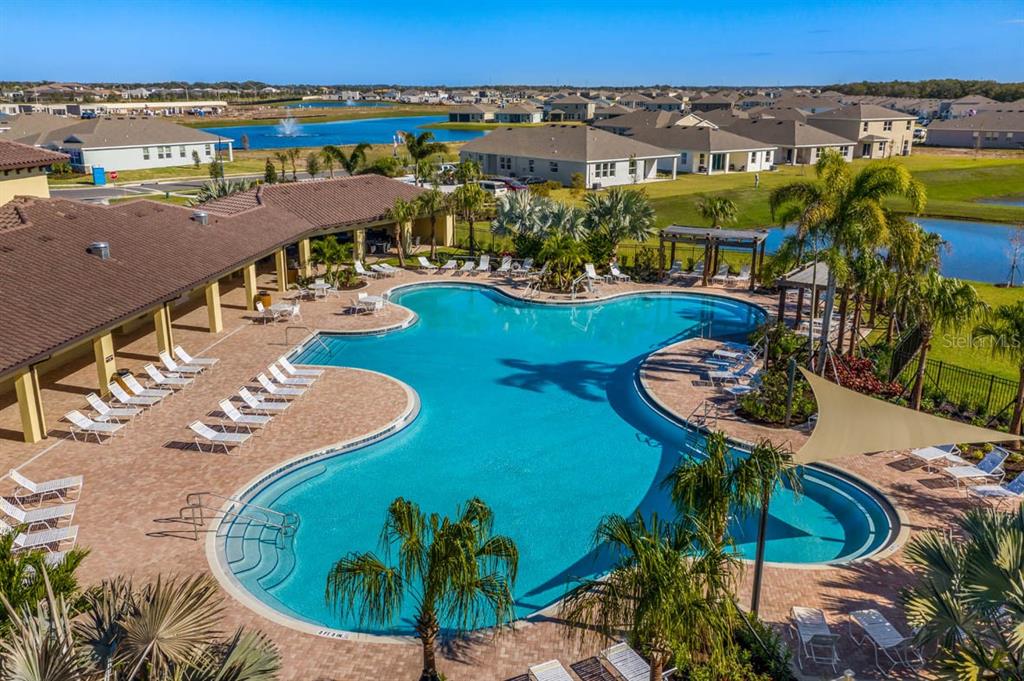 An aerial view of a community swimming pool surrounded by lounge chairs and residential homes — 17819 CANOPY PLACE, BRADENTON, FL