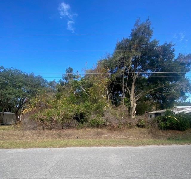 A vacant, overgrown lot with trees and shrubs sits between two neighboring houses — 0 SE 143 LN, SUMMERFIELD, FL