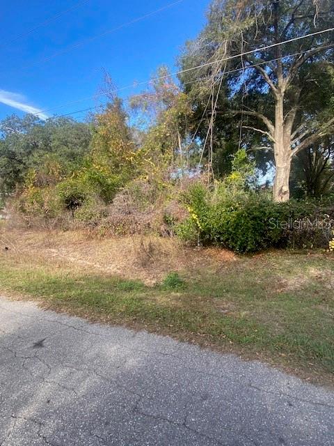 An overgrown, wooded vacant lot sits adjacent to a paved residential street — 0 SE 143 LN, SUMMERFIELD, FL