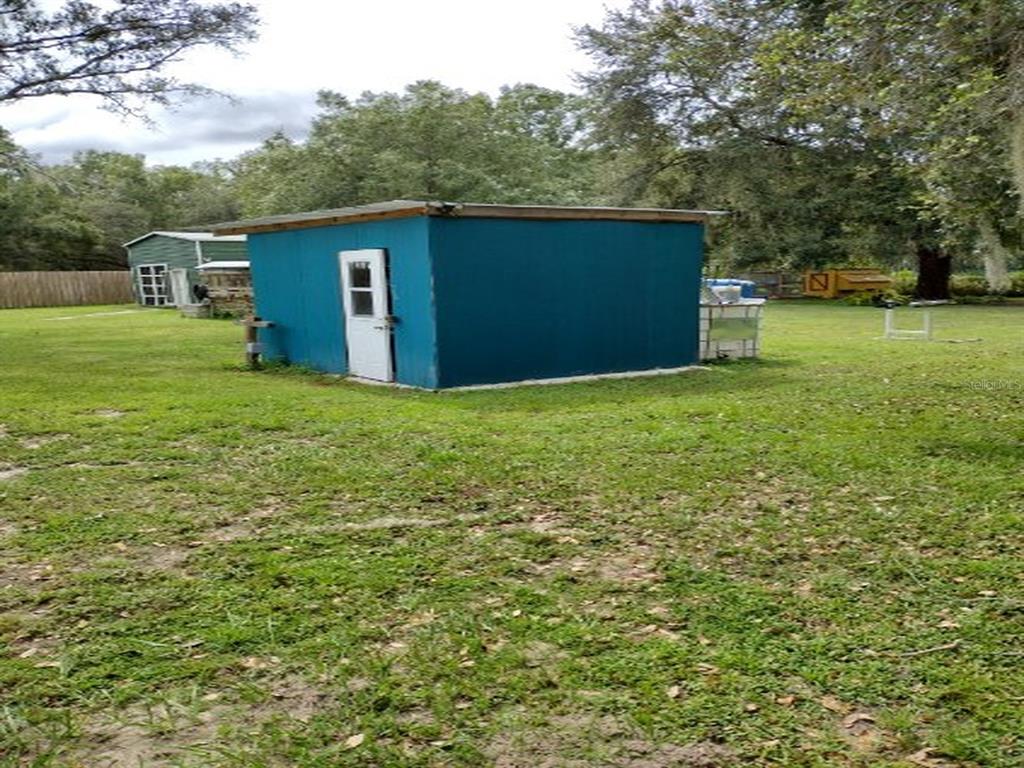 A blue shed with a white door sits in a grassy backyard with trees — 18334 SPENCER ROAD, ODESSA, FL