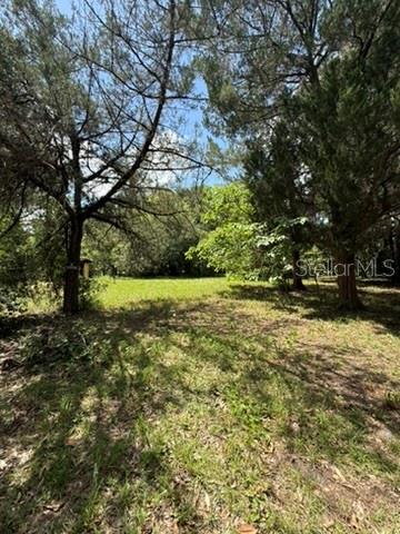 A grassy, sunlit clearing is surrounded by mature trees and dense foliage — 00 SE 71ST AVENUE, HAWTHORNE, FL