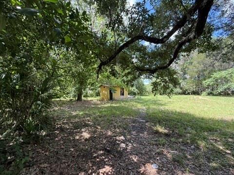 A small, yellow shed sits in a grassy, wooded lot under a large tree — 00 SE 71ST AVENUE, HAWTHORNE, FL
