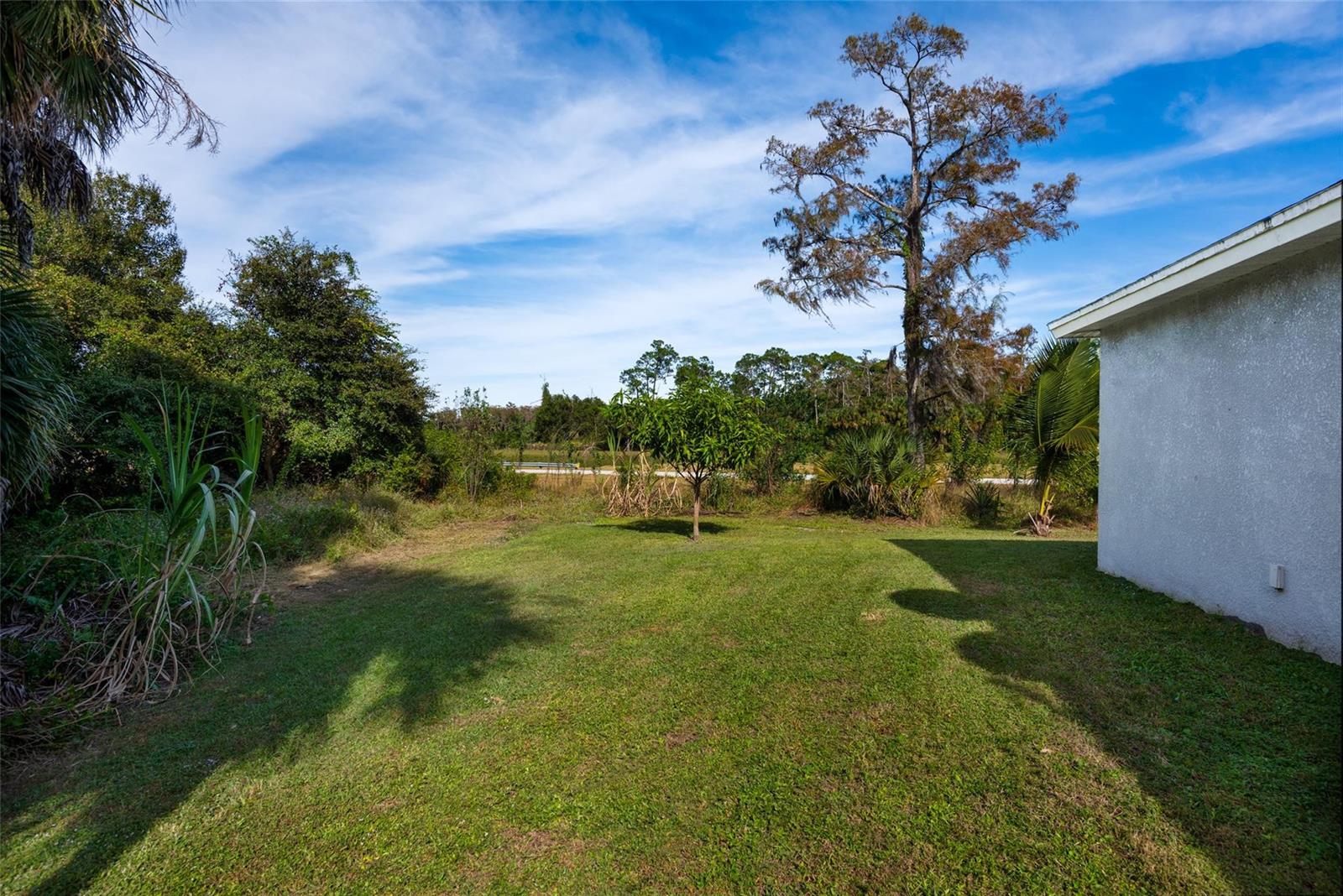 A grassy backyard features a small tree, surrounding vegetation, and the side of a house — 8007 Royal Court, FL 33935, FL